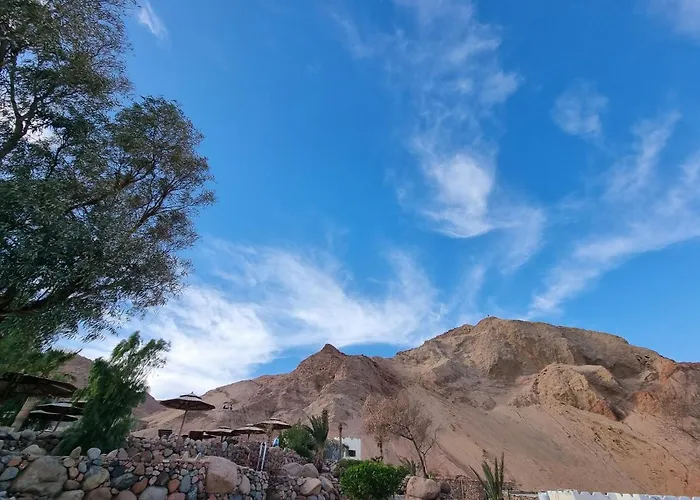 The Bedouin Moon 3*