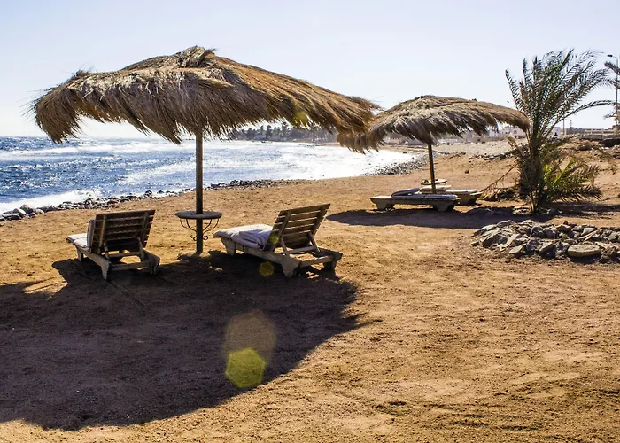 Hotel The Bedouin Moon 3*