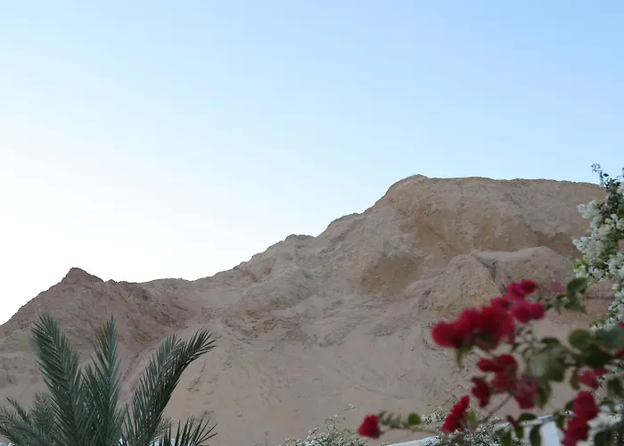 The Bedouin Moon Dahab