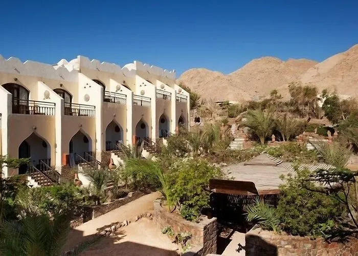 The Bedouin Moon